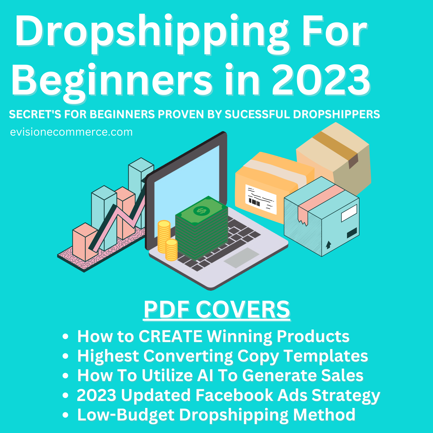 Dropshipping For Beginners PDF (2023 Updated)