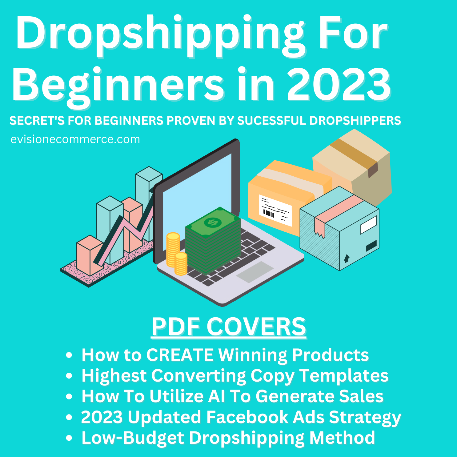 Dropshipping For Beginners PDF